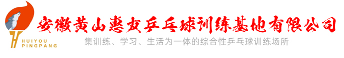 安徽惠友乒乓球運(yùn)動(dòng)有限公司